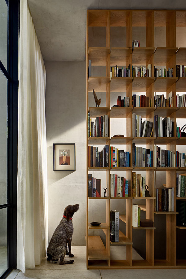 monolithic apartment mexico bookcase, staircase and dog